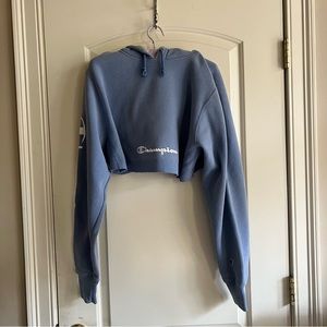 Champion Thrifted Cropped Hoodie